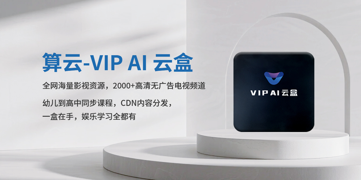 算云-VIP AI 云盒